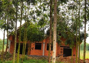 affordable-country-homes-in-uganda