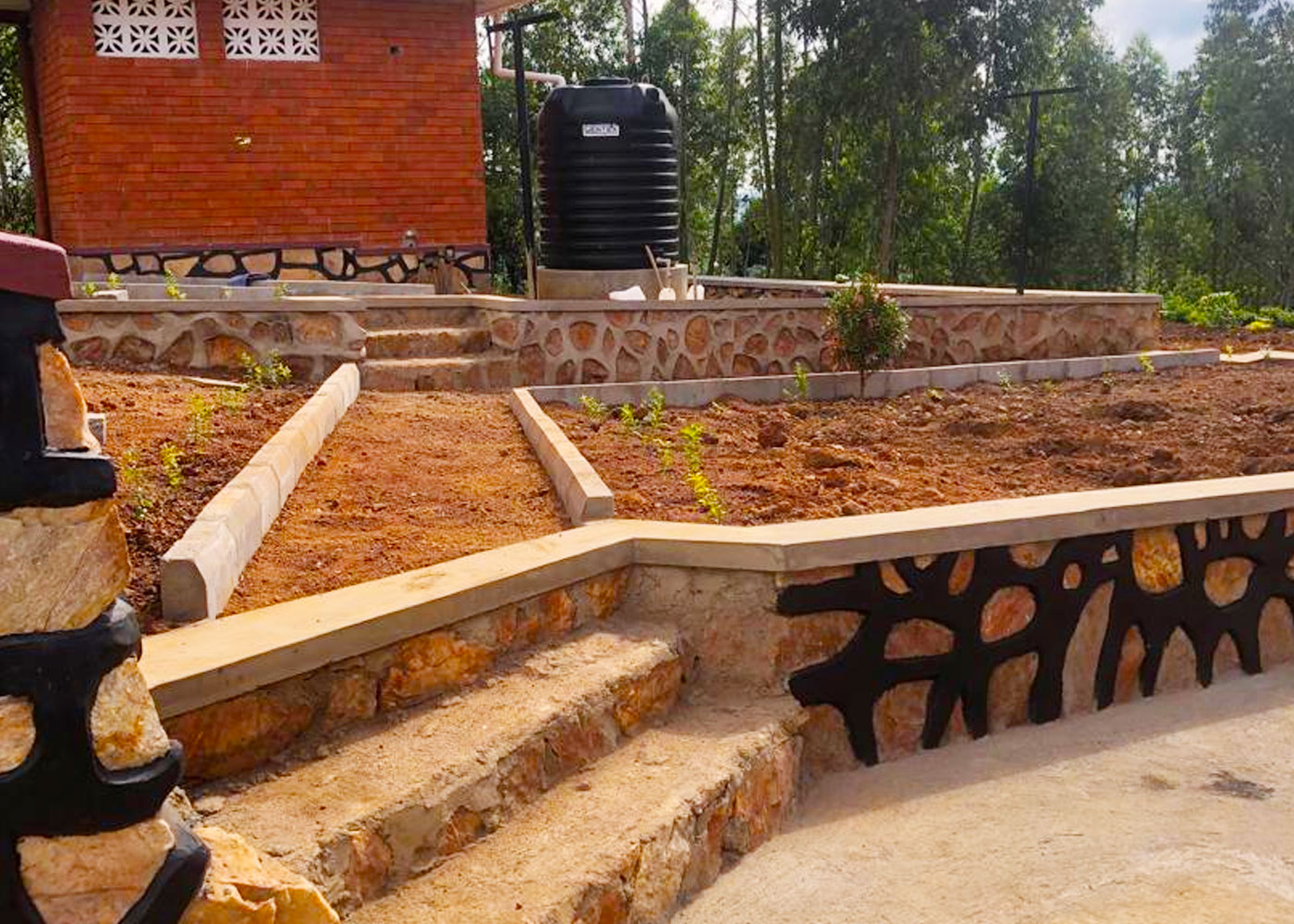 creating-a-simple-fruit-garden